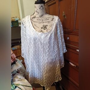 Women Blouse By Ultra Teenre Size 1X